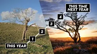 4 Simple Ways to Improve Your Photography in 2026