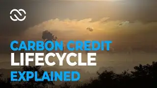 Carbon Credits Lifecycle