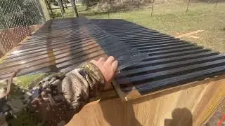 Backyard Duck Coop