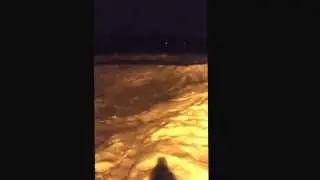 Придурки на санях