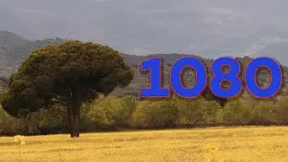 HD video cropped in 1080 frame