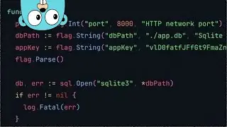 Configuring Golang Apps with Command Line Flags