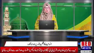 Husband Shoots Wife Over Domestic Dispute in Jhelum | Langarpur Tragedy | Police on Hunt