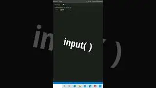 Take user input in Python using input( ) function 