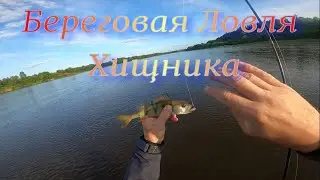Береговая Ловля Хищника на мелкие приманки