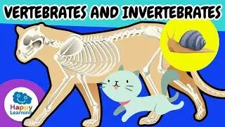 🐾✨ VERTEBRATE and INVERTEBRATE Animals | Educational Videos for Children | 