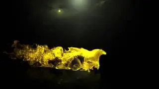 Trailing Horse Logo Reveal