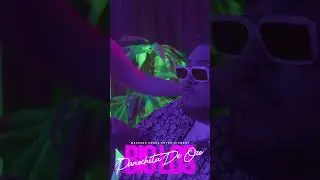 Subscríbete al canal para lo más reciente ..y disfruta esta joyita panochita de oro