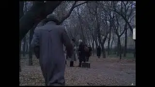 16 сентября 2022 г.