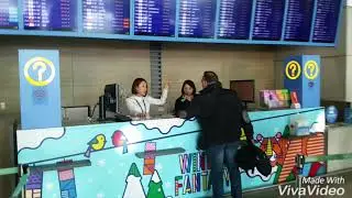 Работа в Корее. Покидаю Корею. Возвращение домой.