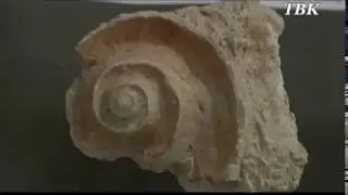 История Родного Края_Домодедово_