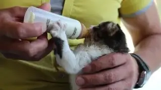 Little monster by mother abandoned :)