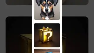 Choose your gift 🎁 