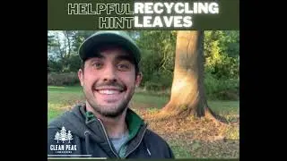 EASY WAYS to Cut Costs On Fall and Spring Clean Up