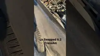 6.2 Lsx Engine On 1980 Transam Listen How It Starts Up