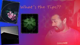 Photography 101 - What's the tip??