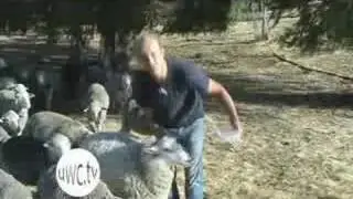 Leadership and Whiskey With Arctic Explorer Peter Bland