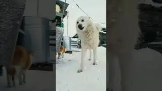 #скучаюмойверныйдруг ☹️