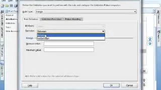 2 4 Business Components   fusion Application   validation   default   format     JSF