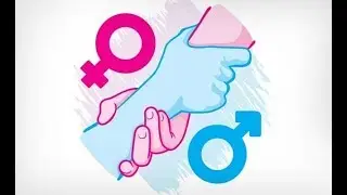 Gender Equality