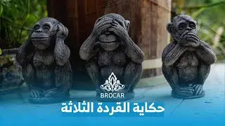 بروكار | 🙊🙉🙈 القردة الثلاثة.. خلدهم التاريخ واستخدمناهم في محادثاتنا