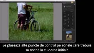 Editarea fotografiilor JPG cu Viveza 2 (Nik Collection)