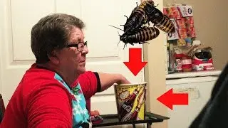 ANGRY GRANDMA / BUGS IN FOOD PRANK!
