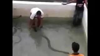 abang  bomba mandikan ular tedung