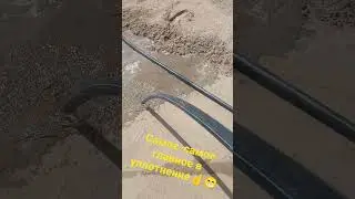8 июня 2023 г.