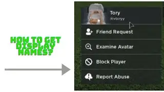 HOW TO GET ROBLOX DISPLAY NAMES April 2021