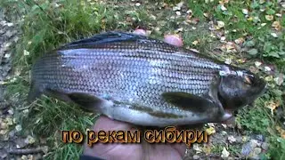 ОТКРЫТИЕ СЕЗОНА. ЗАЧЕТНАЯ РЫБАЛКА. СМОТРЕТЬ ДО КОНЦА.