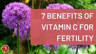 Exploring the 7 Benefits of Vitamin C for Fertility