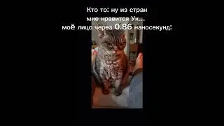 мем #страны #shorts