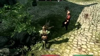 Skyrim Street Shark