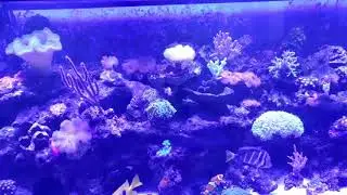 PLEASE REMEMBER TO KEEP THOSE TOPS ON !!