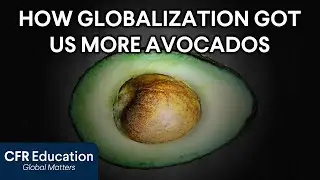 Why Are More Americans Eating Avocados? | World101