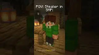 POV: Stealer in Minecraft SMP