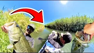 FISHING on this FORGOTTEN Stretch of River in Arizona