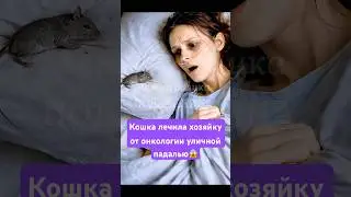 #cat