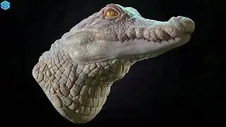 Speedsculpt Zbrush 2023