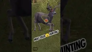 MuleDeer Hunting With Sniper #deerhunting #hunting #trendingshorts