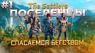 The Settlers: New Allies прохождение на Русском #1