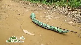 rc toys