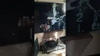 кино, цой жив, музыка для тела и души