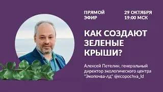 Как создают зелёные крыши