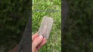 What We Found Metal Detecting At Our 140 Year Old House! #metaldetecting #historichome