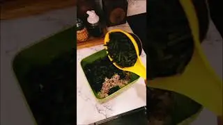 🍽Салат для тех, кто любит кинзу🍽