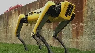 The New SpotMini Talking Robot