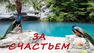 Цена трёх советов