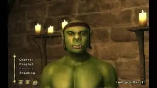 (PC) Return to Oblivion.  Were we Fighter's Guilding?